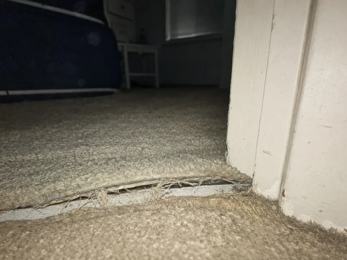 Carpet Repair in Pasadena, CA