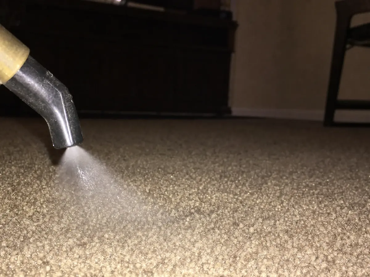 Carpet Deodorizing in Pasadena, CA