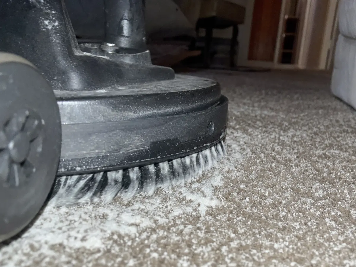 Dry Carpet Cleaning in Pasadena, CA