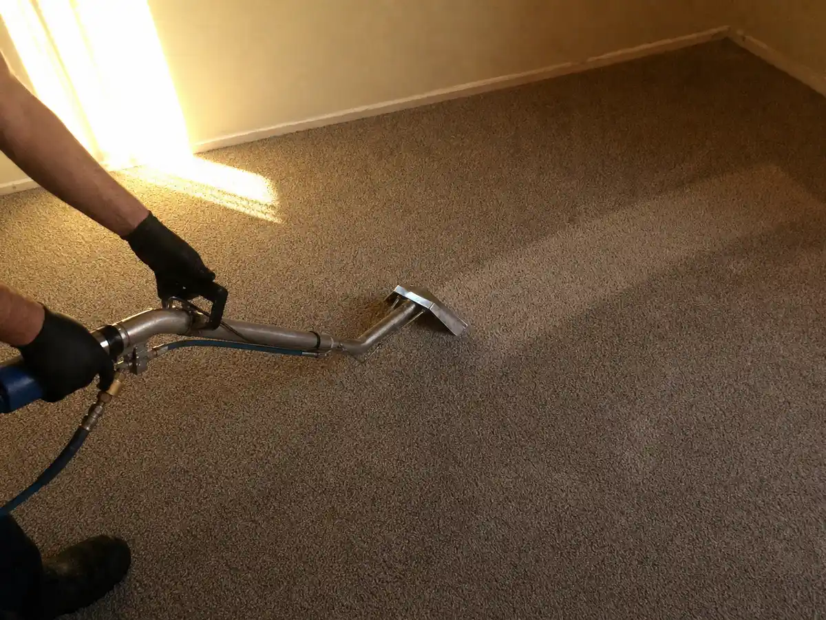 Steam Carpet Cleaning in Pasadena, CA