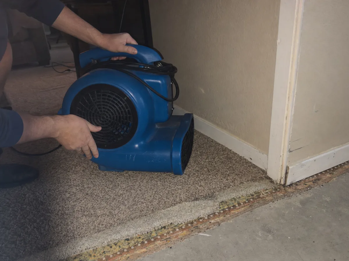 carpet cleaning technician on the job in Pasadena, CA